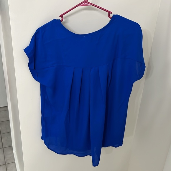 Blue Blouse - Picture 3 of 4
